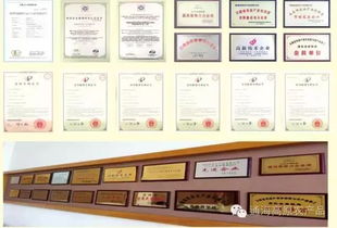 借力中国蔬菜品牌大会，云南蔬菜品牌与企业以大数据服务驱动产业升级